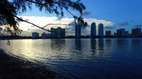 AERIAL - Flying under the tree into the bay. Stock Footage 64993874