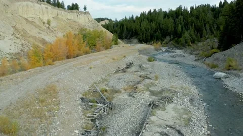 Aerial-Flying upstream over Spread Creek in the Bridger-Teton National Forest Stock Footage 142548268