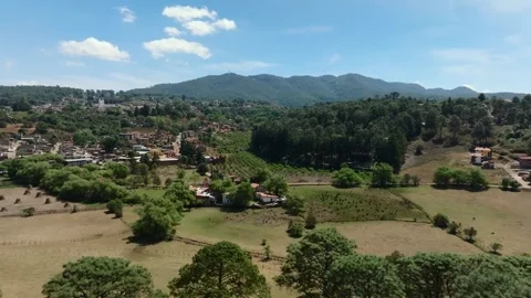 Aerial flyover above pine tree canopy revealing farmland, forest and the Pueblo Stock Footage 339840173