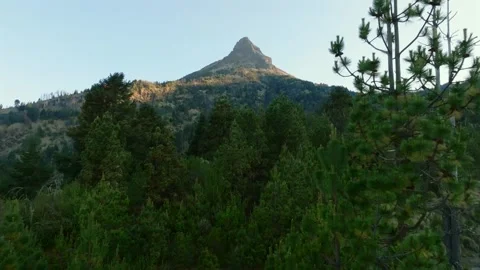 Aerial flyover above pine tree canopy toward the iconic Nevado de Colima Stock Footage 339840469