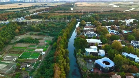 Aerial Flyover Along Tree-Lined Canal Near Sheshan Mountain 動画素材 341367059