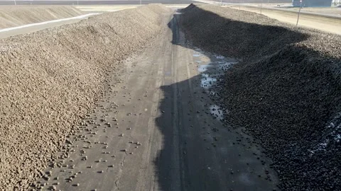 Aerial flyover between two rows of harvested sugar beets, drone flying forwards. Stock Footage 157768472