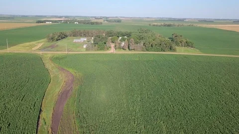 Aerial flyover of corn fields and property released farm in South Dakota, USA. Stock Footage 113290875