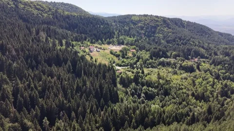 Aerial Flyover of Dense Pine Forest Canopy on Trebevic Mountain Stock Footage 342938327