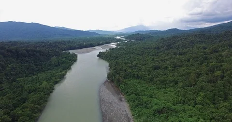 Aerial flyover of dense rain forest and opaque river in Papua New Guinea, 4k Stock Footage 123262778