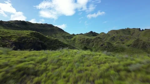 Aerial Flyover: Drone Flight Over Green Grassy Hills. Indonesia. Remote Islands. 動画素材 243851370