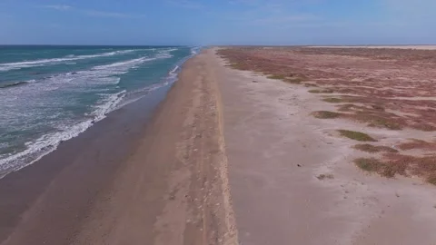 Aerial Flyover of Empty Coastal Beach and Desert Vegetation 動画素材 346654437