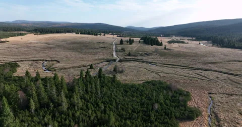 Aerial flyover of Jizera Meadow peat bogs in autumn Видео 346613892