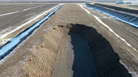 Aerial flyover of one large row of harvested sugar beets, drone flies forwards. Stock Footage 157768428