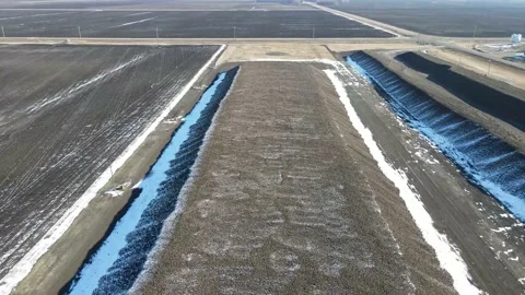 Aerial flyover of one large row of harvested sugar beets, drone flies backwards. Stock Footage 157768430