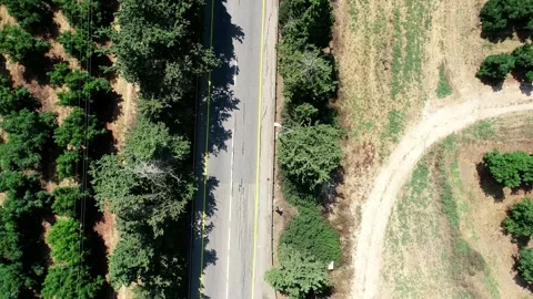 Aerial Flyover of Orchard-Lined Road, Road 4 Near Fureidis, Israel Stock Footage 341363685