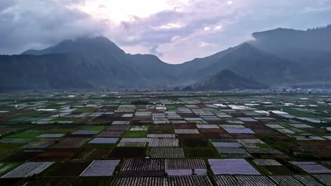 Aerial Flyover of Patchwork Farmland Fields and Misty Mountains in Bukit Selong Stock-Footage 336781576