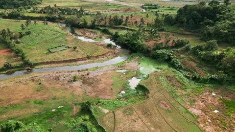 Aerial Flyover of Patchwork Farmlands and Creek in Obo, Catanduanes Stock Footage 346819654