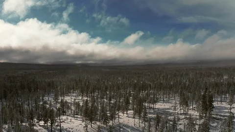 Aerial flyover of pine forest in snow with dramatic clouds moving fast Stock Footage 127270084