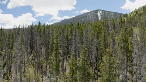 Aerial Flyover of Pine Trees on a Mountain in Colorado (Frisco, Colorado) Stock Footage 111292926