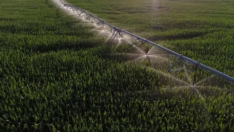 Aerial Flyover of Pivot Irragition on Corn Field Stock Footage