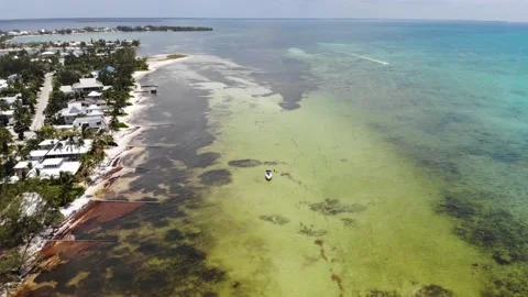 Aerial Flyover Of Rum Point Beach, Grand Cayman Island Stock Footage 146848965
