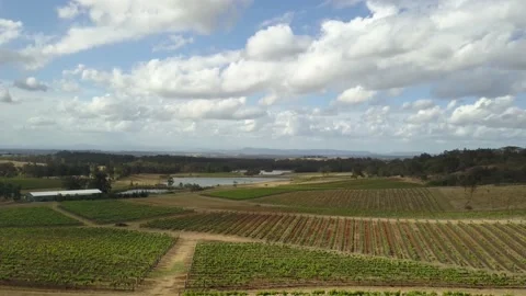Aerial flyover rustic vineyard and river, drone 4k Video stock 147141521