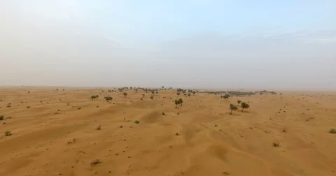 Aerial flyover shot of desert trees Video stock 80325178