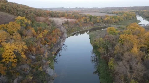 Aerial flyover of trees changing color. Meandering river in center of frame. Stock Footage 157768320