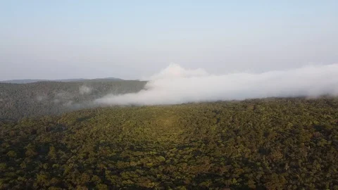 Aerial Flyover Of Tropical Rainforest Cloud Forest Jungle In Cambodia,Asia Stock Footage
