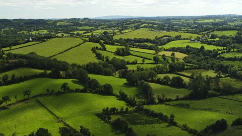Aerial flyover view of rural rolling landscape / Cavan, Cavan, Ireland Stock-Footage 242010174