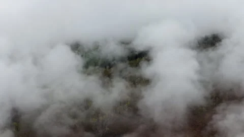 Aerial of foggy forest and low clouds over mountainous terrain in Colorado 库存影片 346309166