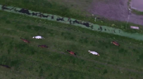 Aerial Stock Footage 11290811