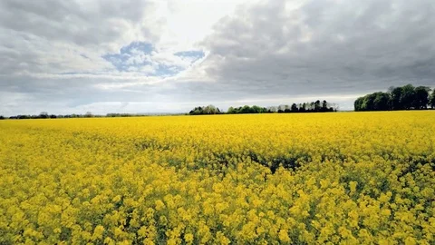 Aerial Stockbeeldmateriaal 76316848