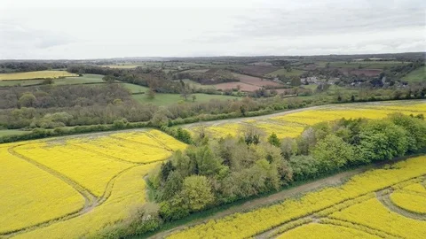 Aerial 库存影片 76317202