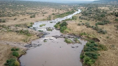 Aerial footage African wilderness 스톡 동영상 95964053