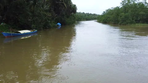 Aerial Footage of Back waters in Goa with Coconut Trees Boats Stock Footage 220015053