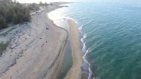 Aerial footage of a beach with view of pine trees and people picnic Stock Footage 79220445
