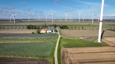 Aerial footage of cabbage fields and renewble sourses of energy. Stock Footage 251993020