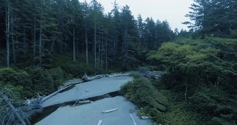 Aerial footage of dark creek at Ruby Beach, Olympic National Park, Washington Video stock 123835883