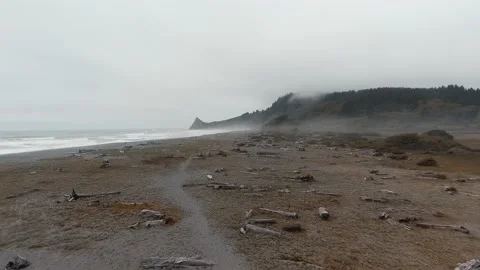 Aerial footage of desolate beach, waves hitting, fog and footpath at Sharp Point Video stock 145314436
