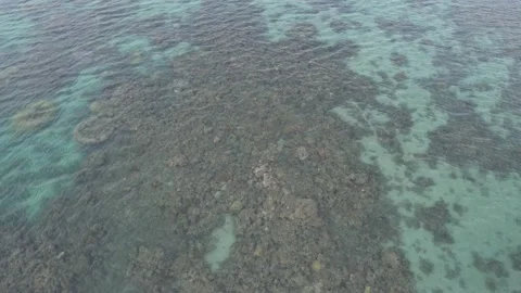 Aerial footage of Dingo Beach Stock Footage 220643871