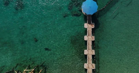 Aerial footage of the dolphin reef in Eilat on the Red Sea Stock Footage 237474292
