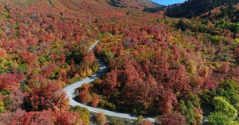 Aerial Footage of Fall Colors in Utah's Rocky Mountains Stock-Footage 101181153