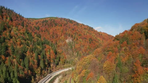 Aerial footage of fall foliage of tree tops covering the mountain slopes Stock Footage 237192986