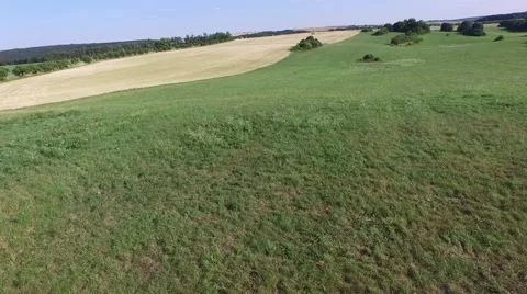 Aerial footage of a flight over fields Stock Footage 52154817