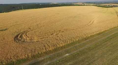 Aerial footage of a flight over fields Stock Footage 52158266