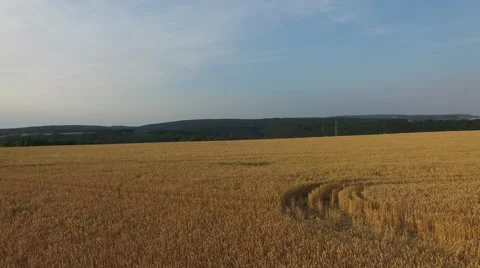 Aerial footage of a flight over fields Stock Footage 52158379