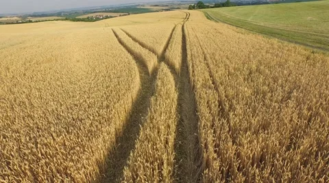 Aerial footage of a flight over fields Stock Footage 52158658