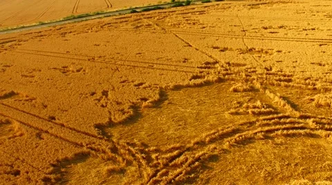 Aerial footage of a flight over fields Stock Footage 52427636