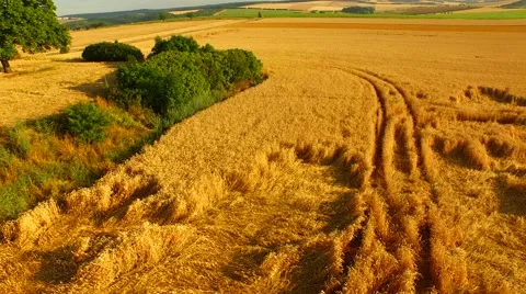 Aerial footage of a flight over fields Stock Footage 52427761