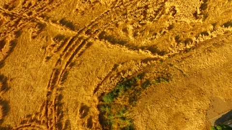 Aerial footage of a flight over fields Stock Footage 52428612