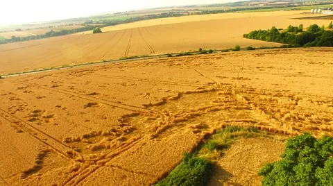Aerial footage of a flight over fields Stock Footage 52428616