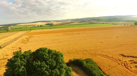 Aerial footage of a flight over fields Stock Footage 52428718