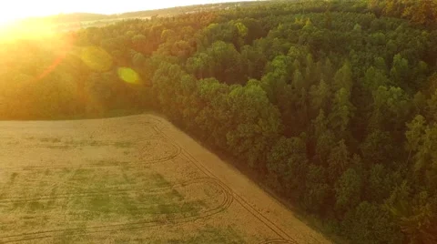 Aerial footage of a flight over fields Stock Footage 52524676